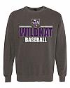 WHS Baseball - B - 1566 - Comfort Color Garment Dyed Sweatshirt